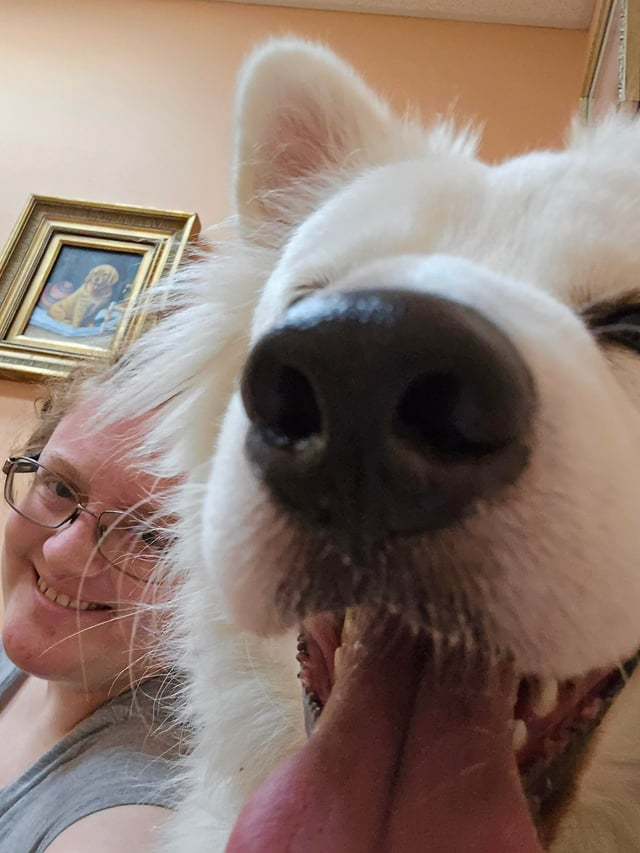 Cheezburger Image 10613285632