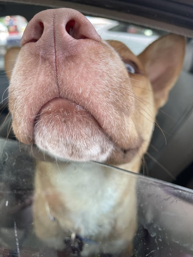 Cheezburger Image 10613285888