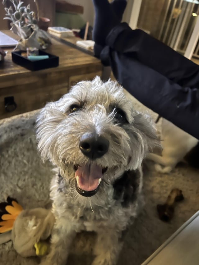 Cheezburger Image 10613286400