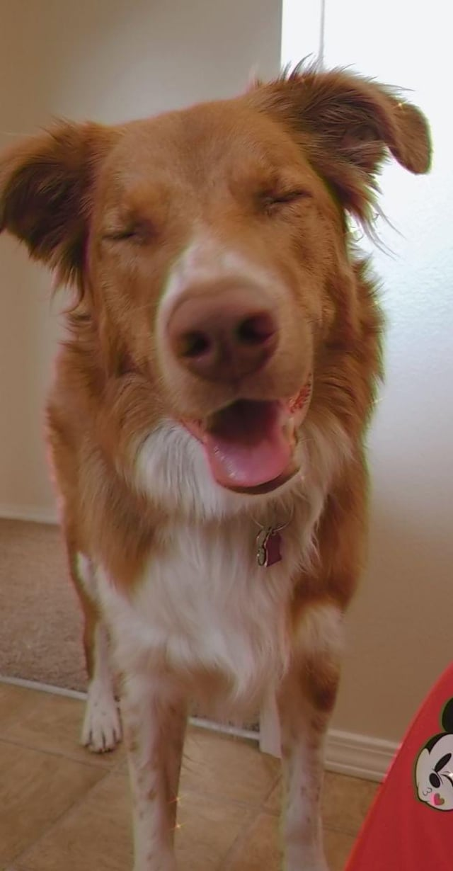 Cheezburger Image 10613286656