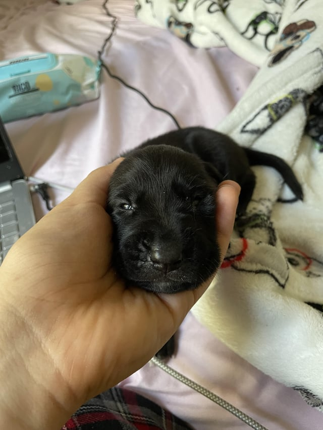 Cheezburger Image 10613286912