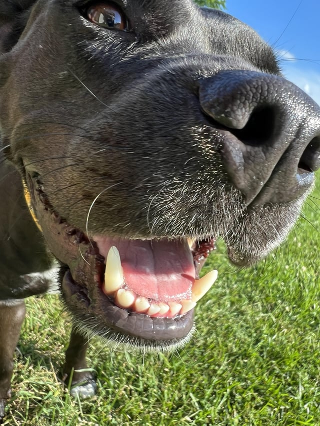 Cheezburger Image 10613287168