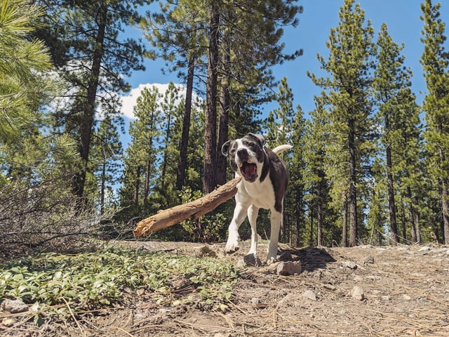 Cheezburger Image 10613288704