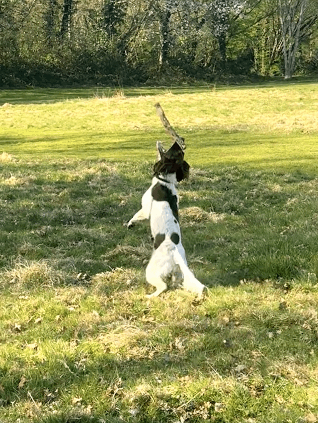 Cheezburger Image 10613288960