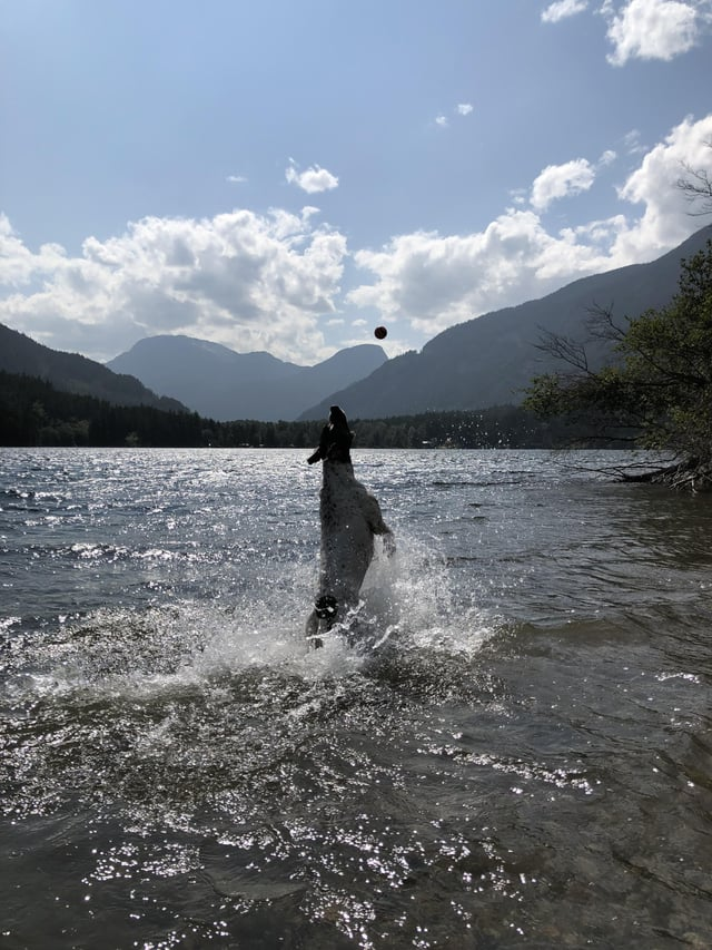 Cheezburger Image 10613289472