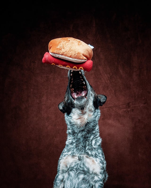 Cheezburger Image 10613291520