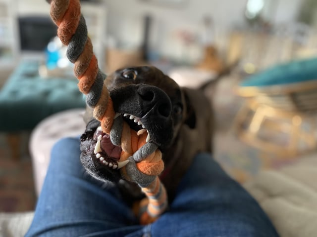 Cheezburger Image 10613292544