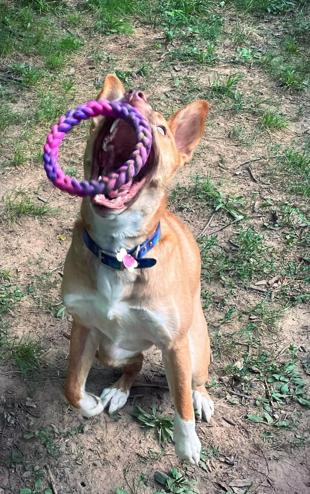 Cheezburger Image 10613292800