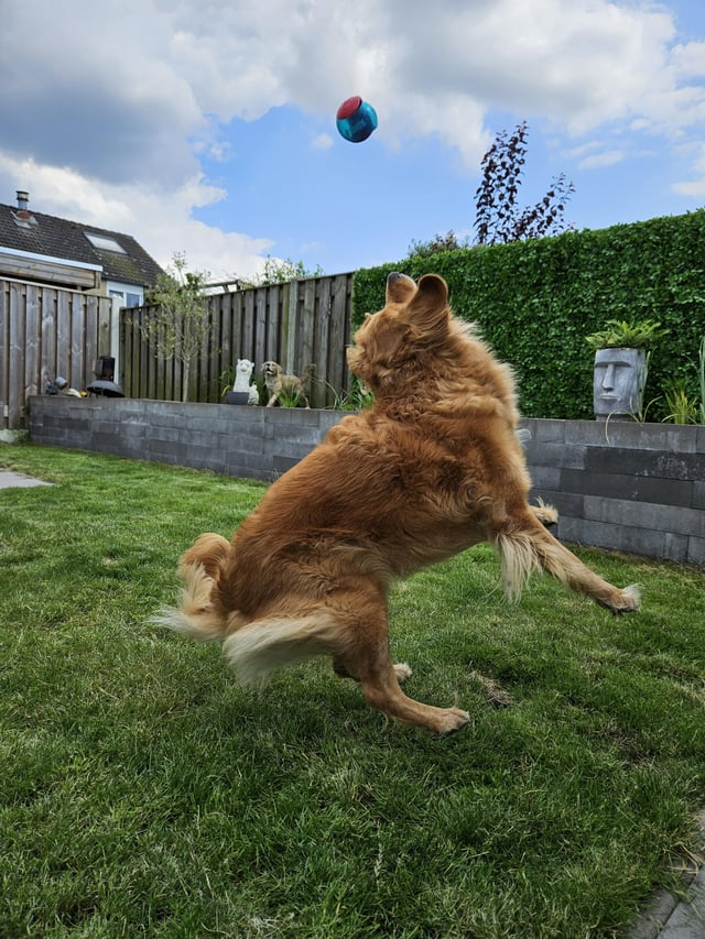 Cheezburger Image 10613293056