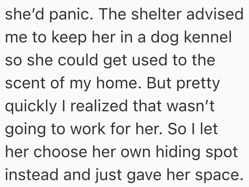 she'd panic. The shelter advised me to keep her in a dog kennel so she could get used to the scent of my home. But pretty quickly I realized that wasn't going to work for her. So I let her choose her own hiding spot instead and just gave her space.