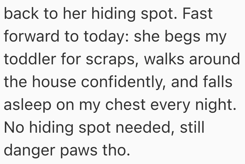 back to her hiding spot. Fast forward to today: she begs my toddler for scraps, walks around the house confidently, and falls asleep on my chest every night. No hiding spot needed, still danger paws tho.