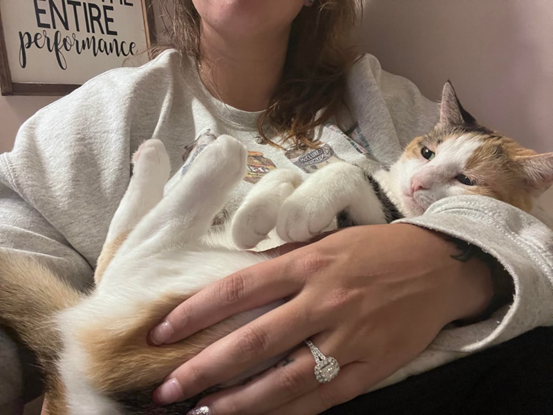 J ENTIRE performance