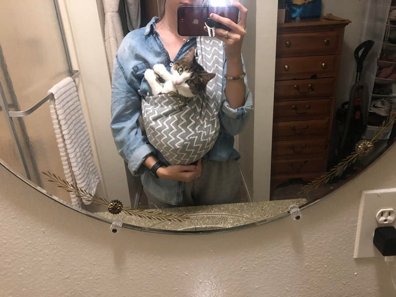 Cheezburger Image 10613297152