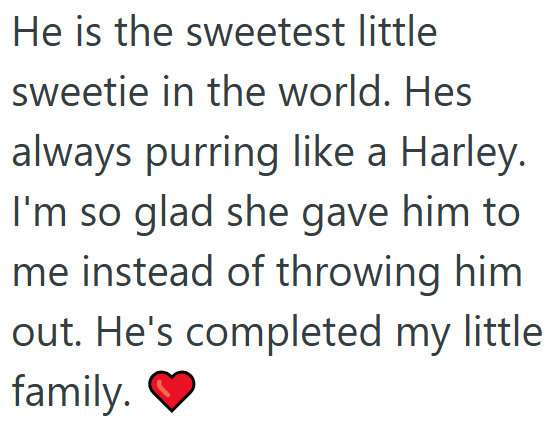 He is the sweetest little sweetie in the world. Hes always purring like a Harley. I'm so glad she gave him to me instead of throwing him out. He's completed my little family.