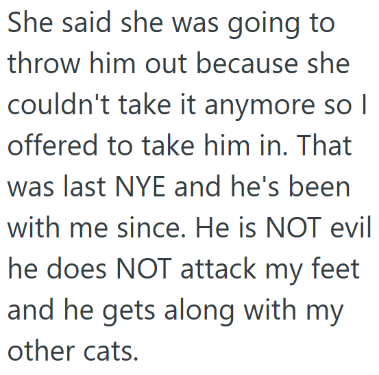 She said she was going to throw him out because she couldn't take it anymore so I offered to take him in. That was last NYE and he's been with me since. He is NOT evil he does NOT attack my feet and he gets along with my other cats.