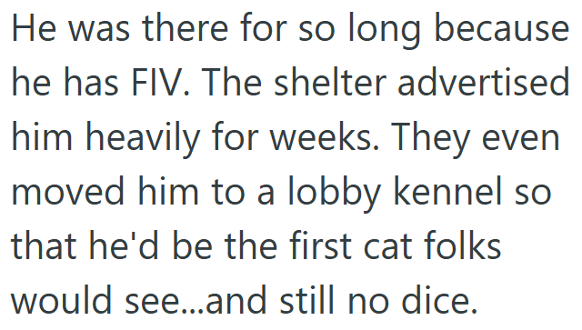 He was there for so long because he has FIV. The shelter advertised him heavily for weeks. They even moved him to a lobby kennel so that he'd be the first cat folks would see...and still no dice.
