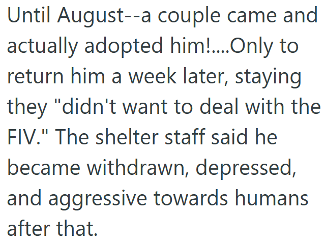 Until August--a couple came and actually adopted him!....Only to return him a week later, staying they "didn't want to deal with the FIV." The shelter staff said he became withdrawn, depressed, and aggressive towards humans after that.