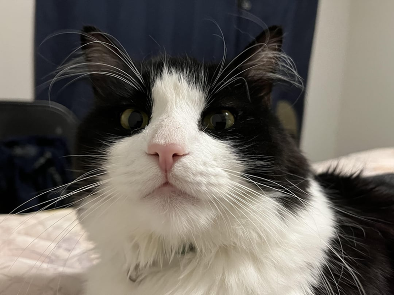 Cheezburger Image 10613307904