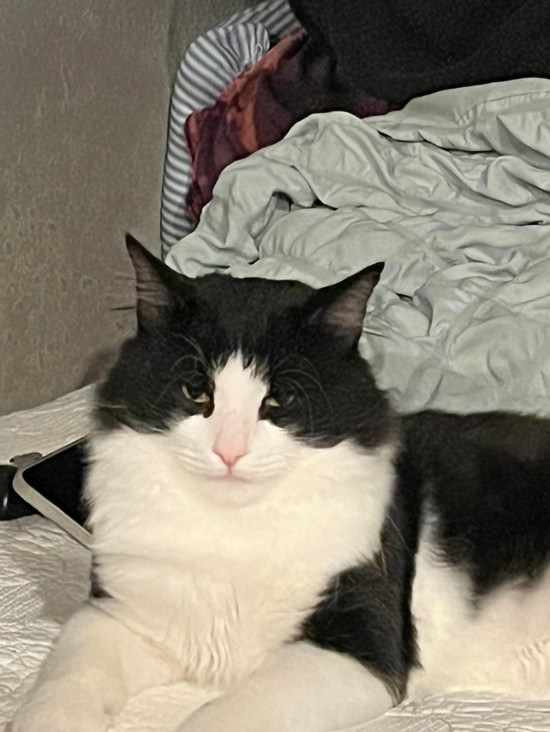 Cheezburger Image 10613309440