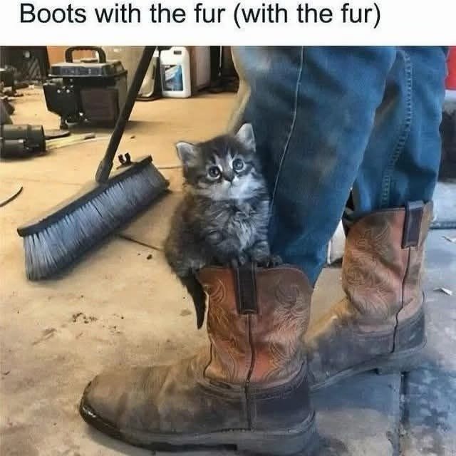 Boots with the fur (with the fur)
