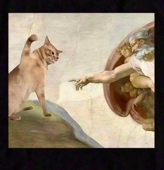 Cheezburger Image 10613311744