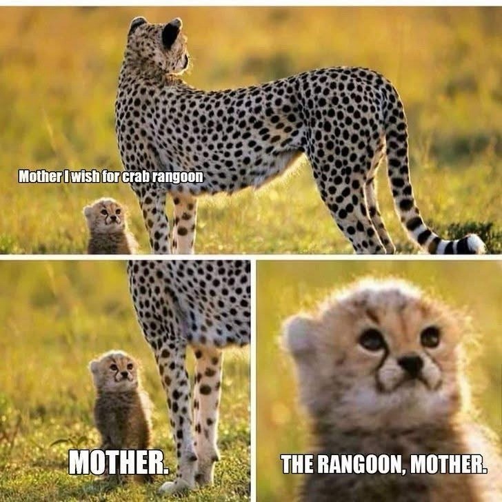 Mother I wish for crab rangoon MOTHER. THE RANGOON, MOTHER.