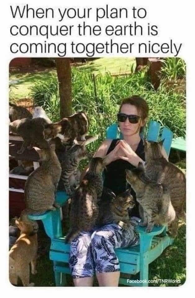 When your plan to conquer the earth is coming together nicely Facebook.com/TNRWorks