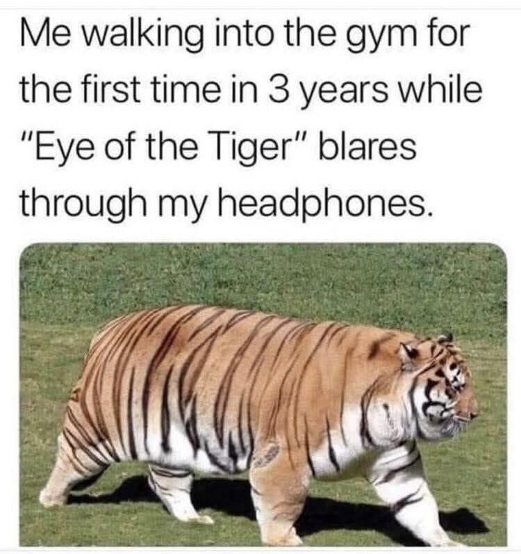 Me walking into the gym for the first time in 3 years while "Eye of the Tiger" blares through my headphones.