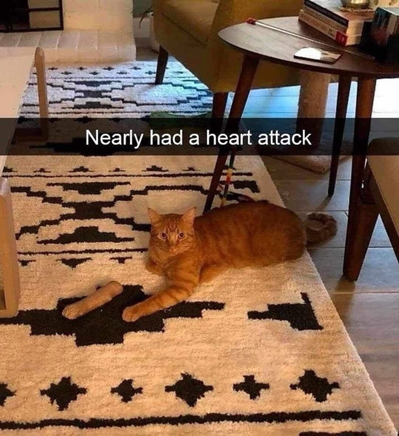 Nearly had a heart attack