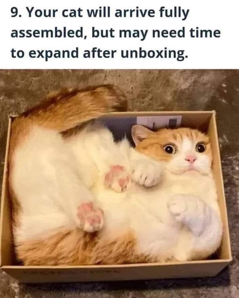 9. Your cat will arrive fully assembled, but may need time to expand after unboxing.