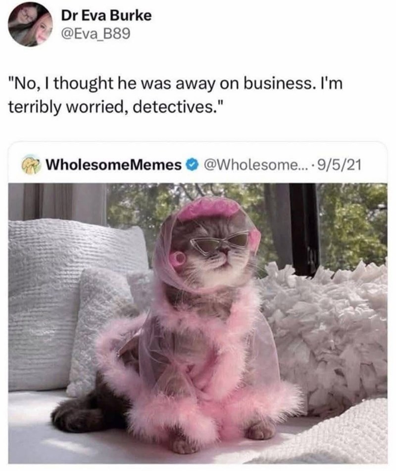 Dr Eva Burke @Eva B89 "No, I thought he was away on business. I'm terribly worried, detectives." WholesomeMemes @Wholesome.... 9/5/21