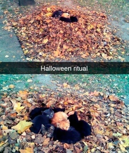 Halloween ritual
