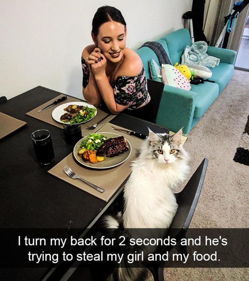 I turn my back for 2 seconds and he's trying to steal my girl and my food.