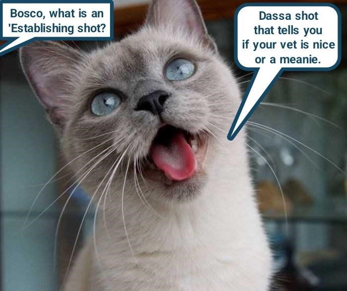 Cheezburger Image 10613331968