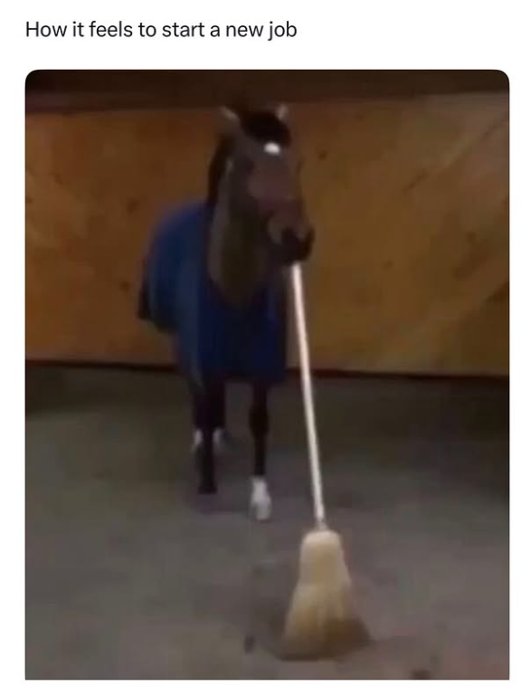 How it feels to start a new job