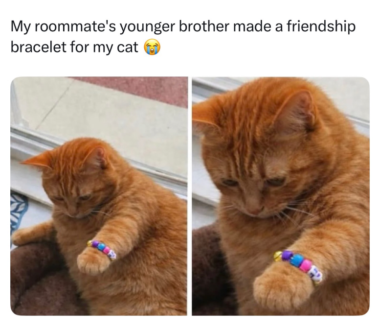 My roommate's younger brother made a friendship bracelet for my cat