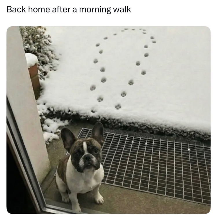 Back home after a morning walk