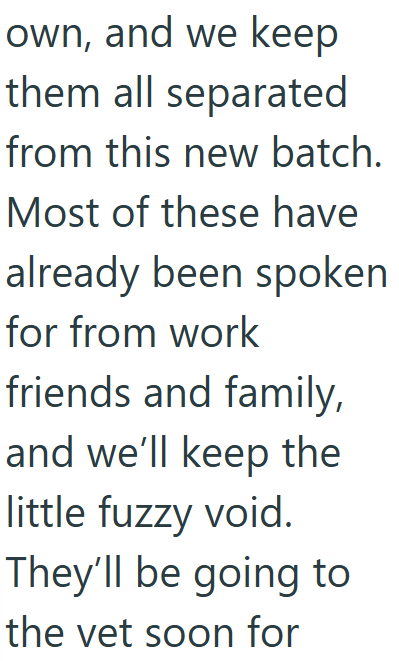 own, and we keep them all separated from this new batch. Most of these have already been spoken for from work friends and family, and we'll keep the little fuzzy void. They'll be going to the vet soon for