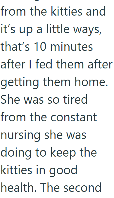 from the kitties and it's up a little ways, that's 10 minutes after I fed them after getting them home. She was so tired from the constant nursing she was doing to keep the kitties in good health. The second