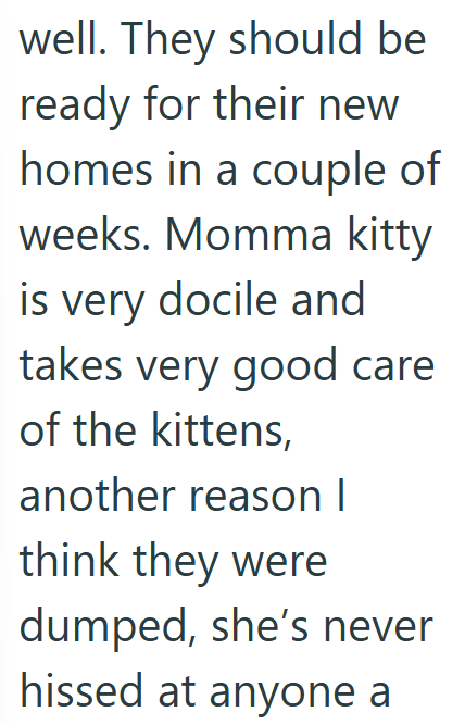 well. They should be ready for their new homes in a couple of weeks. Momma kitty is very docile and takes very good care of the kittens, another reason I think they were dumped, she's never hissed at anyone a