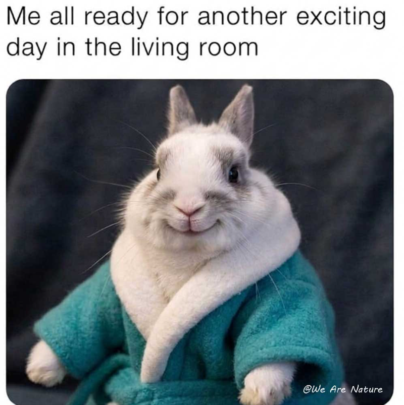 Me all ready for another exciting day in the living room @We Are Nature