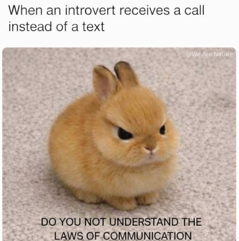 When an introvert receives a call instead of a text @We Are Nature DO YOU NOT UNDERSTAND THE LAWS OF COMMUNICATION