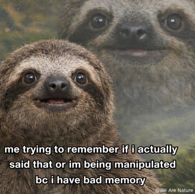 me trying to remember if i actually said that or im being manipulated bc i have bad memory @We Are Nature