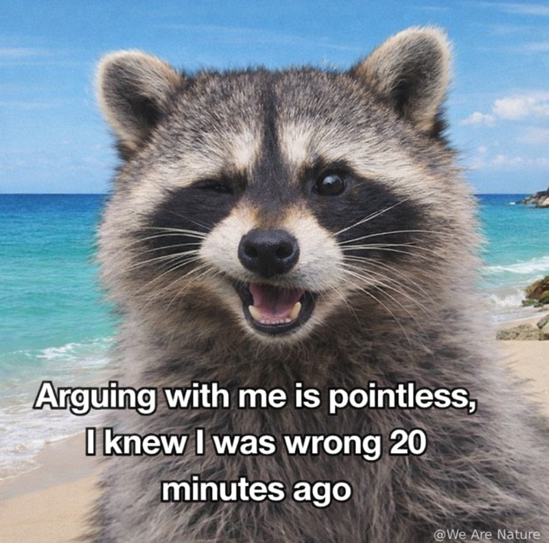 Arguing with me is pointless, I knew I was wrong 20 minutes ago @We Are Nature