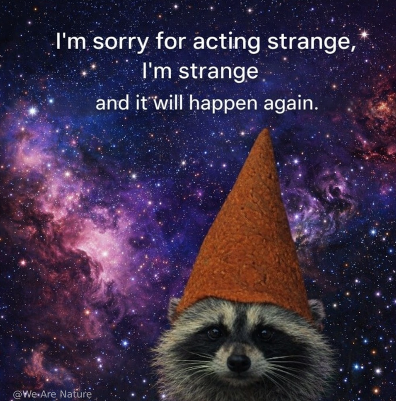 I'm sorry for acting strange, I'm strange and it will happen again. @We Are Nature