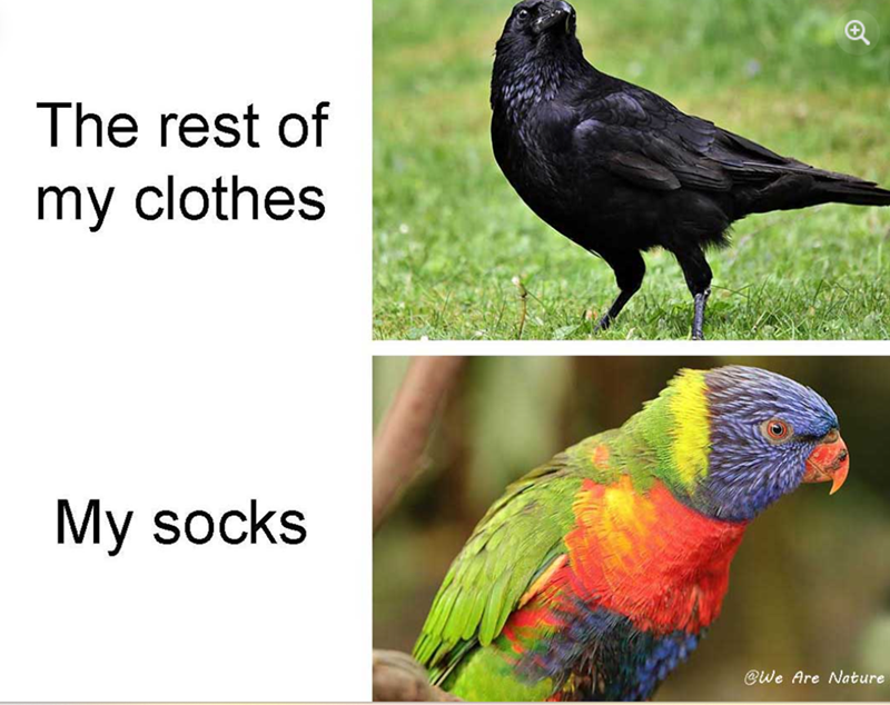The rest of my clothes My socks @We Are Nature