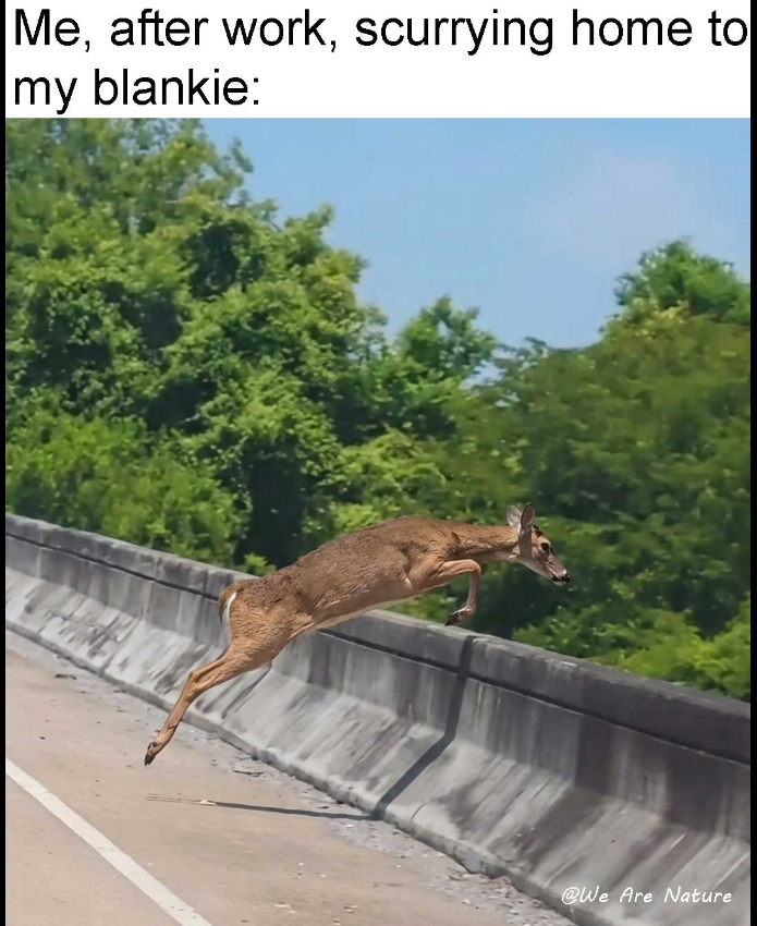 Me, after work, scurrying home to my blankie: @We Are Nature