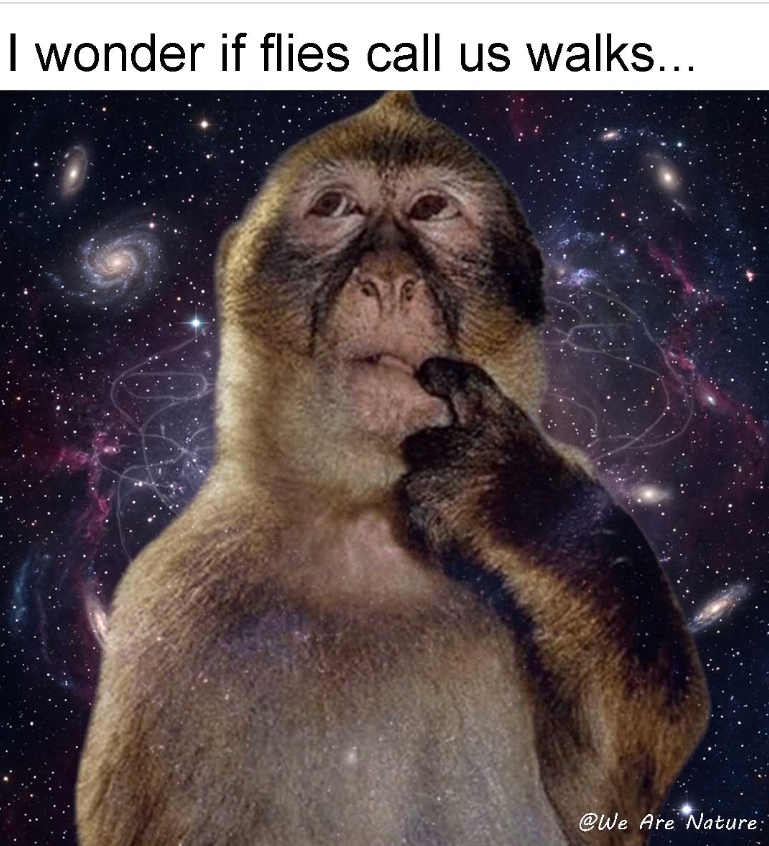 I wonder if flies call us walks... @We Are Nature: