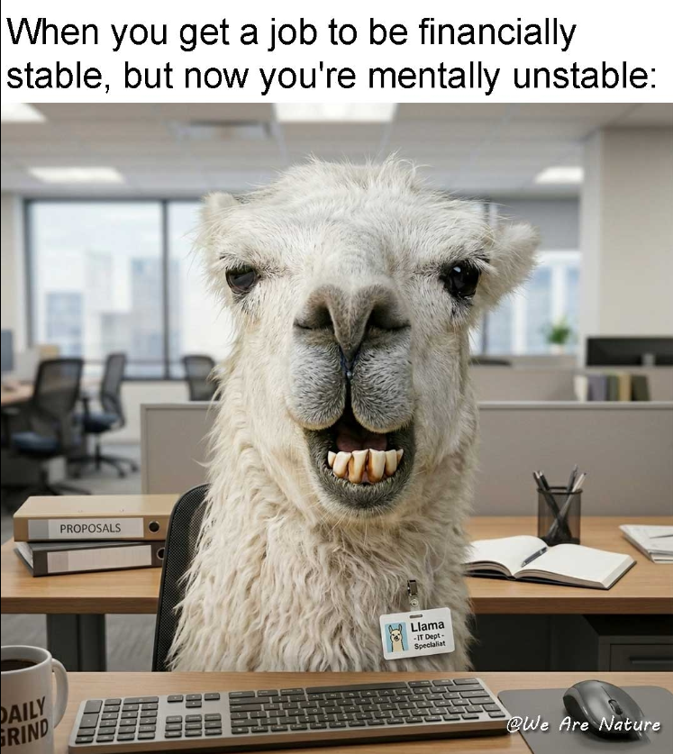 When you get a job to be financially stable, but now you're mentally unstable: DAILY GRIND PROPOSALS Llama -IT Dept- Specialist @We Are Nature