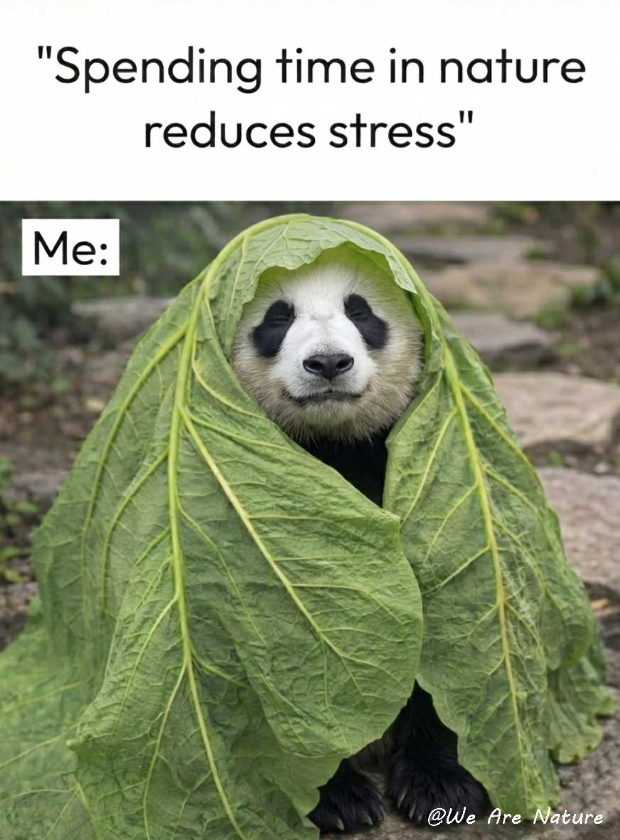 "Spending time in nature reduces stress" Me: @We Are Nature